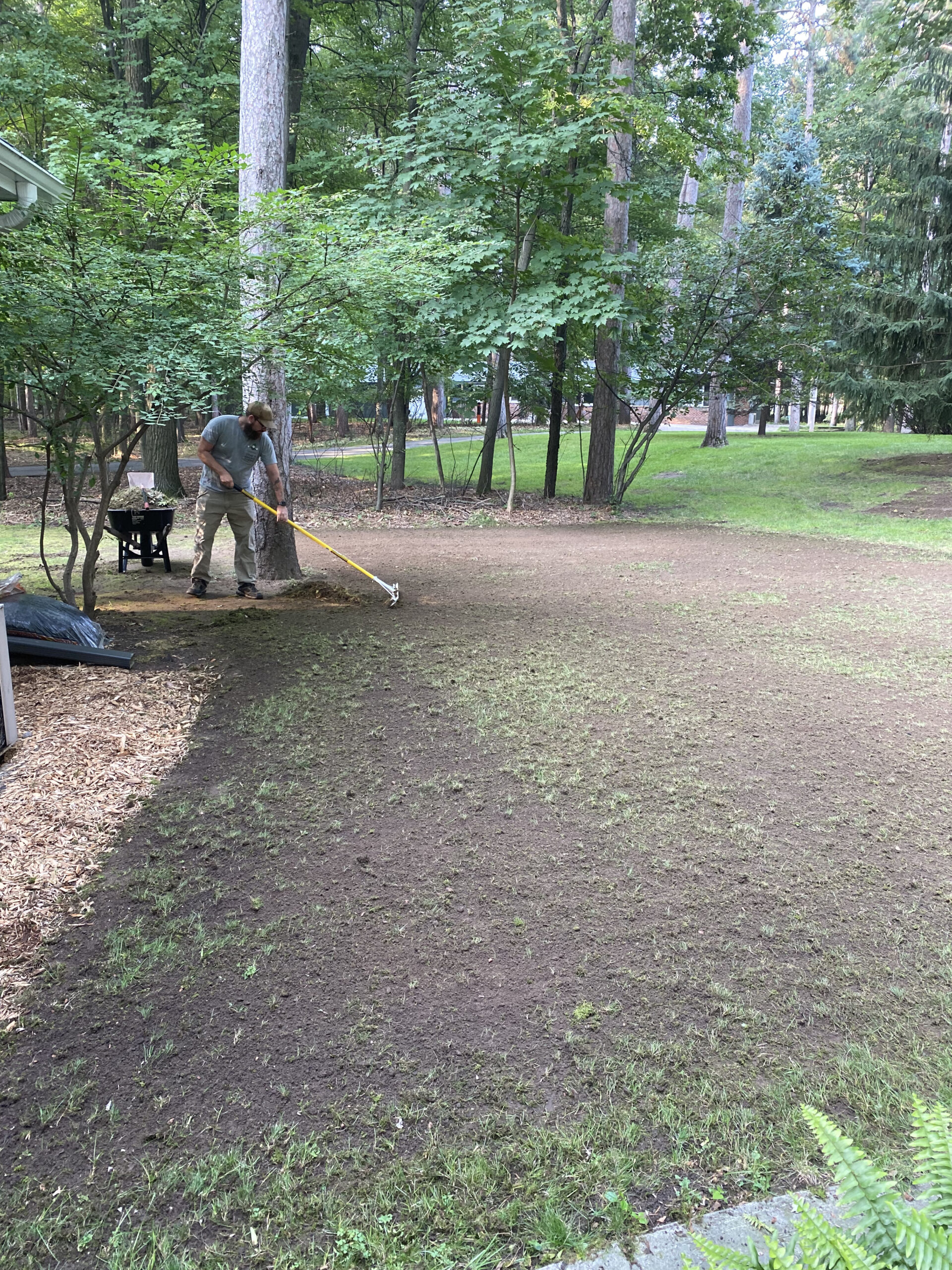 Lawn Care 3
